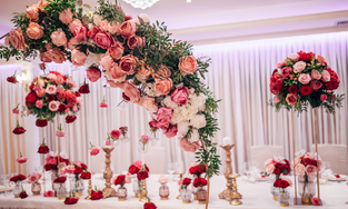 King Decorators., Sagara